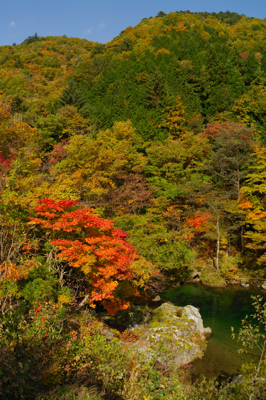 馬瀬川の紅葉・・_f0061172_13461171.jpg