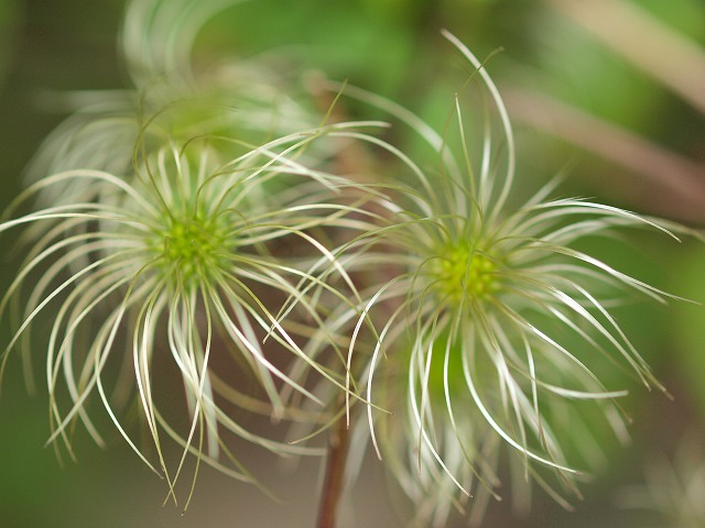 b0135573_15524196.jpg