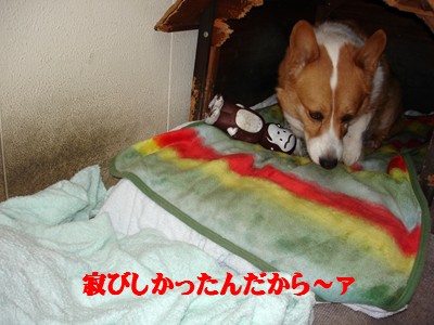 ☆一番の犠牲者ドット君_f0003174_144573.jpg