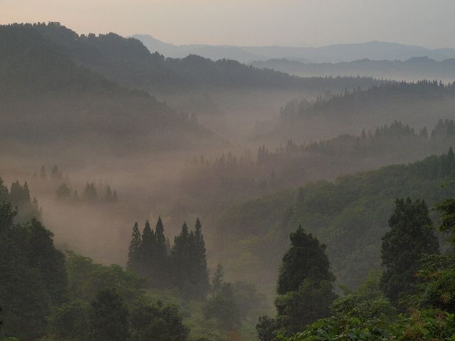 小谷、大荒戸の朝もや_a0025576_2150398.jpg