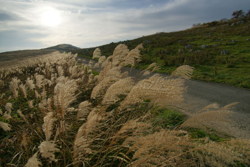 e0152576_21756100.jpg