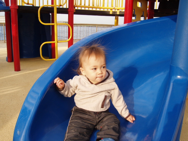 e0123680_1552731.jpg