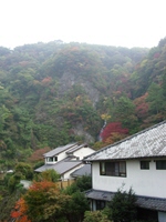 f0060381_224720100.jpg