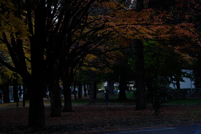 北海道大学構内にて_f0126483_20322781.jpg