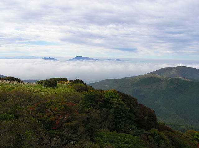 b0047184_10242249.jpg