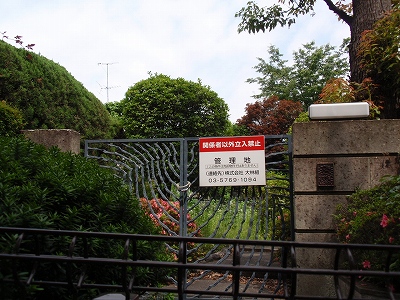c0105785_8411989.jpg
