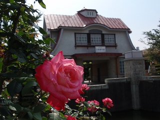 c0105785_8521453.jpg