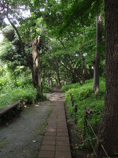 c0105785_9133795.jpg