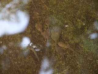 c0105785_9162822.jpg
