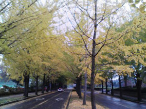c0148401_944431.jpg