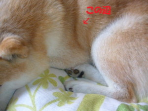 e0131506_23542145.jpg