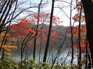 c0047814_2049293.jpg