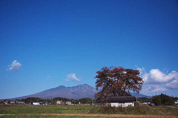 清里高原 デジカメ写真集