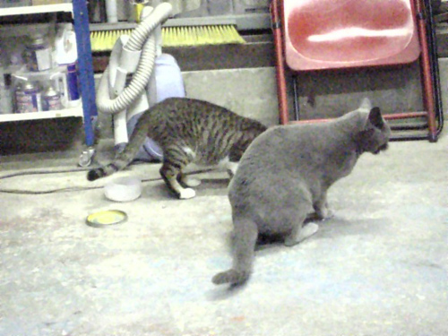 Routine duties_d0130115_22493138.jpg