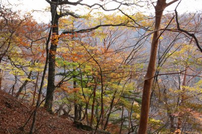 秋深い行者還岳 1546.2m 奈良県_d0055236_17205672.jpg