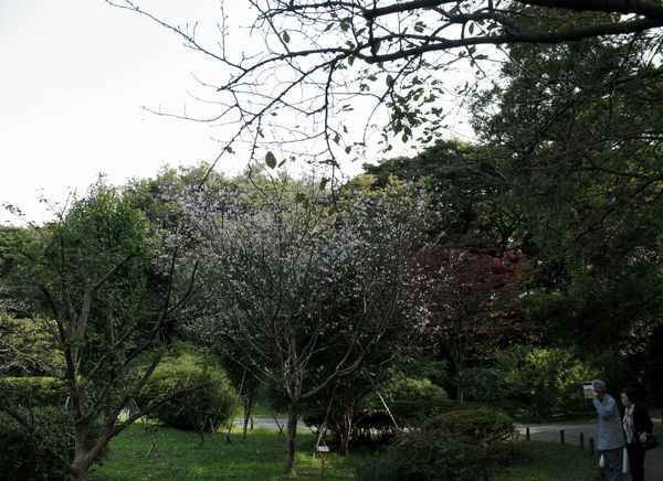 e0098241_1038782.jpg