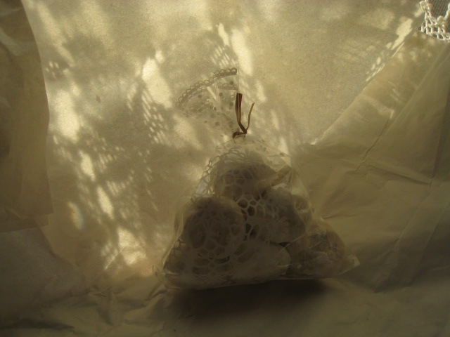 d0129646_16195520.jpg