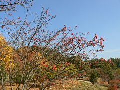 四季の道から七賢へ_f0019247_2145248.jpg