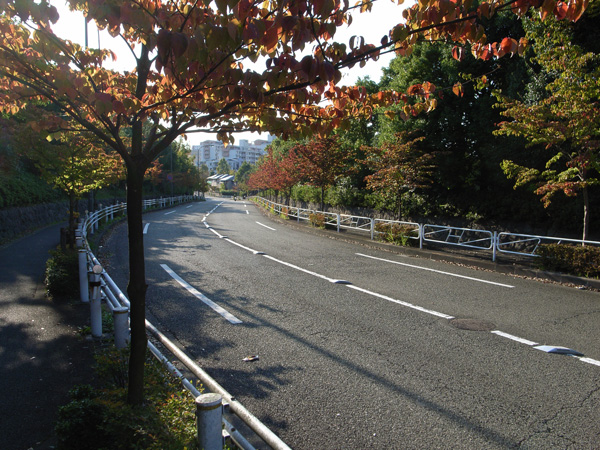 2008/10/30 - 東京都立大学_e0122855_031047.jpg