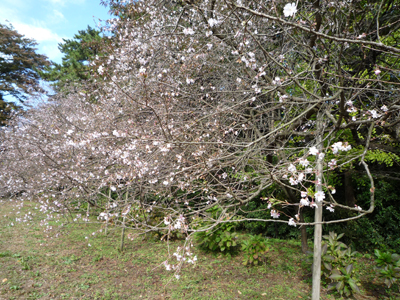 b0045357_3285268.jpg