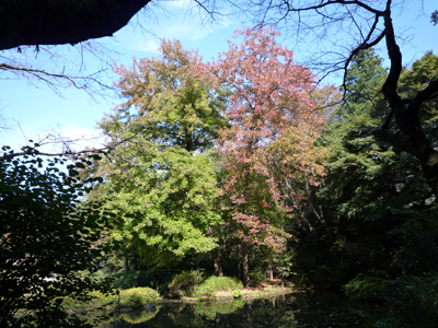 b0045357_3363354.jpg