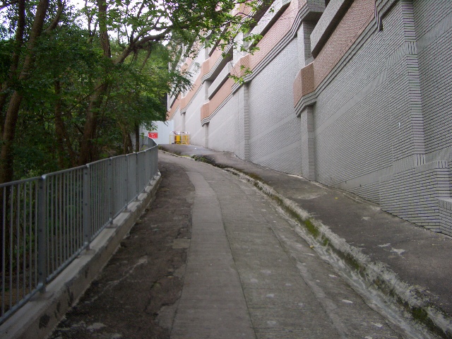 e0155771_13853.jpg