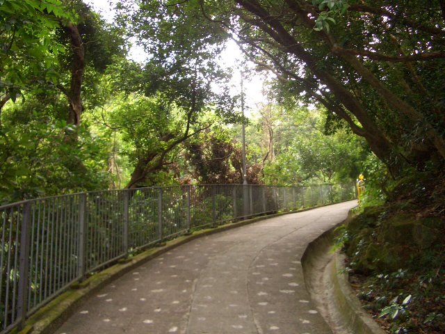 e0155771_1391423.jpg