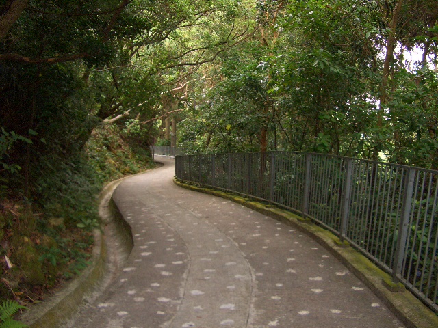 e0155771_1393192.jpg