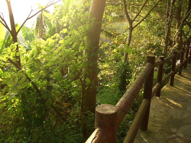 e0155771_14433891.jpg