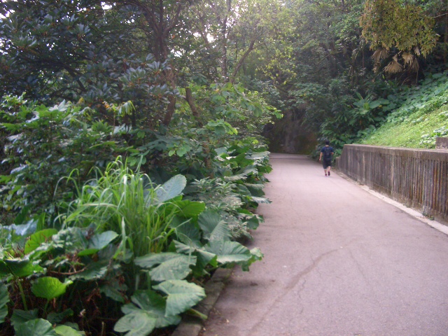 e0155771_14462590.jpg