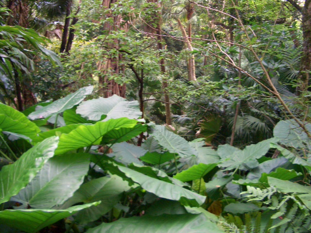 e0155771_14471965.jpg