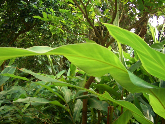 e0155771_14513560.jpg