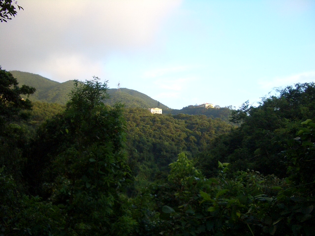 e0155771_1451551.jpg
