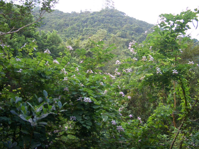 e0155771_1453011.jpg