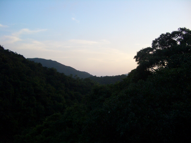 e0155771_14553640.jpg
