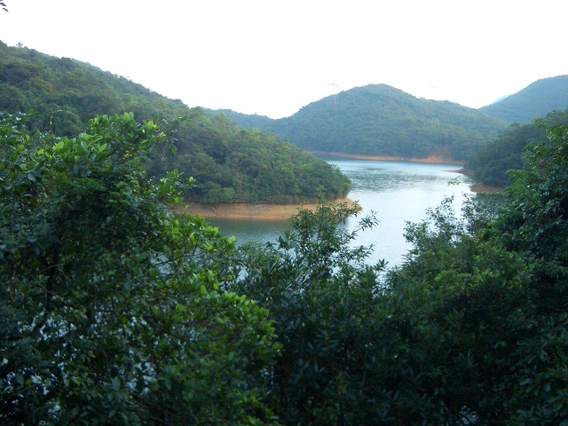 e0155771_1456578.jpg