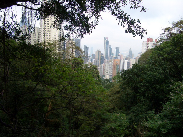 e0155771_145740.jpg
