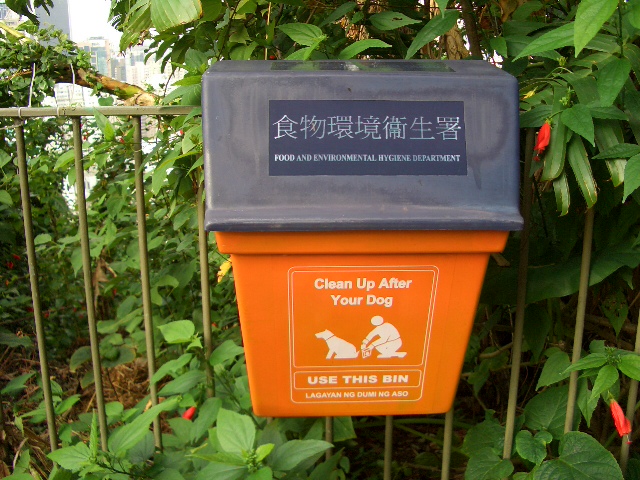 e0155771_1471028.jpg