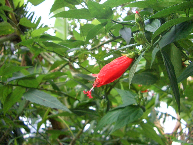 e0155771_1475784.jpg