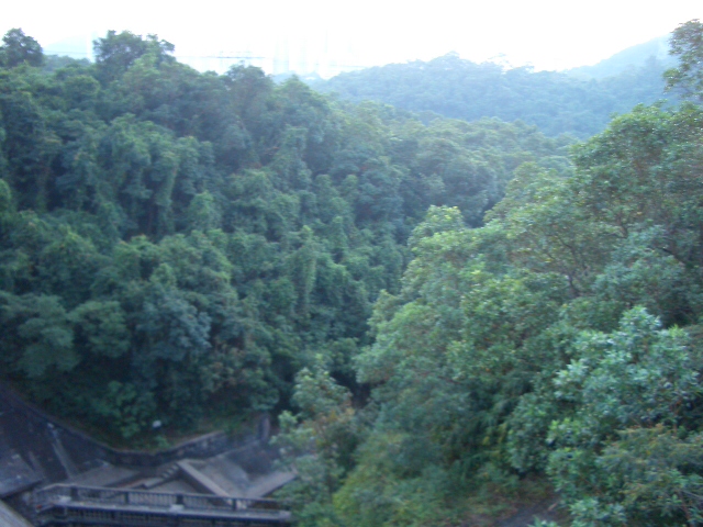 e0155771_1512472.jpg