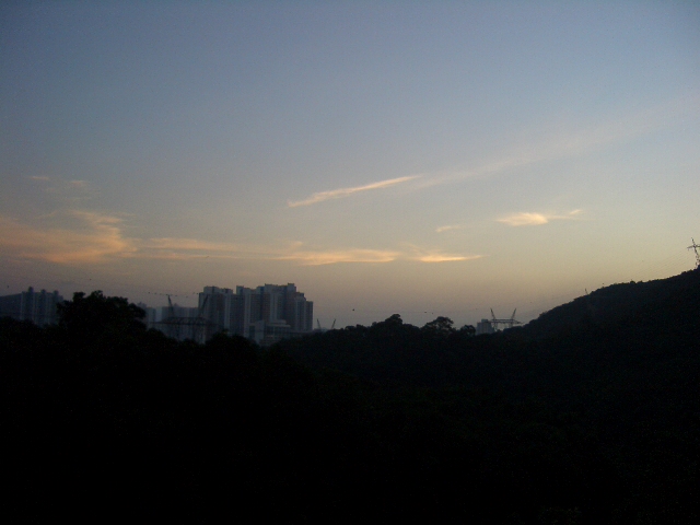 e0155771_1562098.jpg