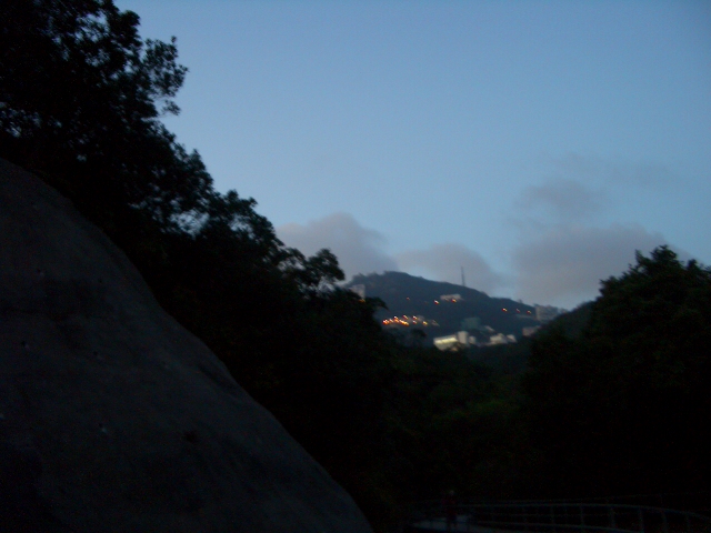 e0155771_1594829.jpg