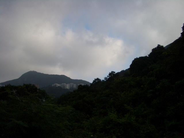 e0155771_26371.jpg