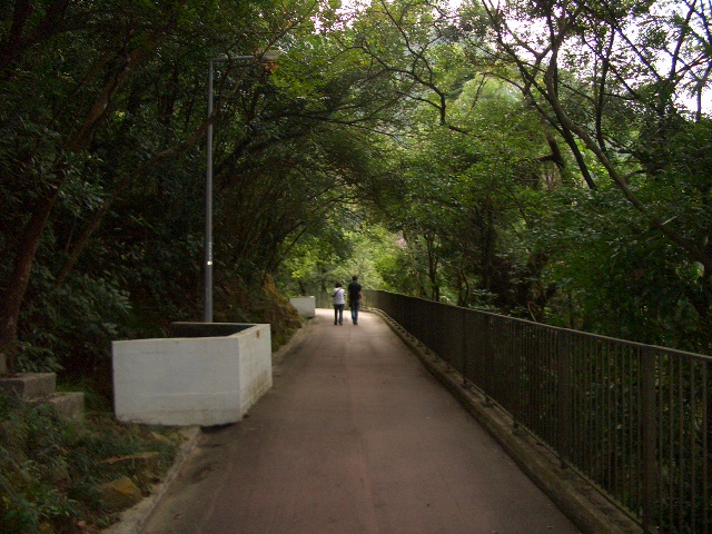 e0155771_28494.jpg