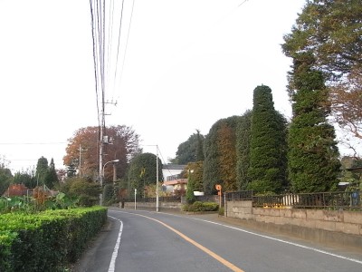 c0112172_2401463.jpg