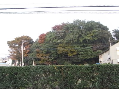 c0112172_240352.jpg