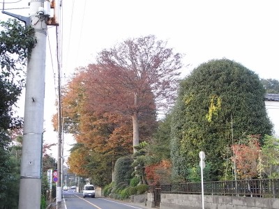 c0112172_2403763.jpg