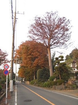 c0112172_2404742.jpg