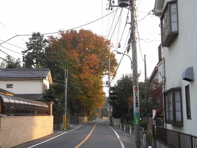 c0112172_2413760.jpg