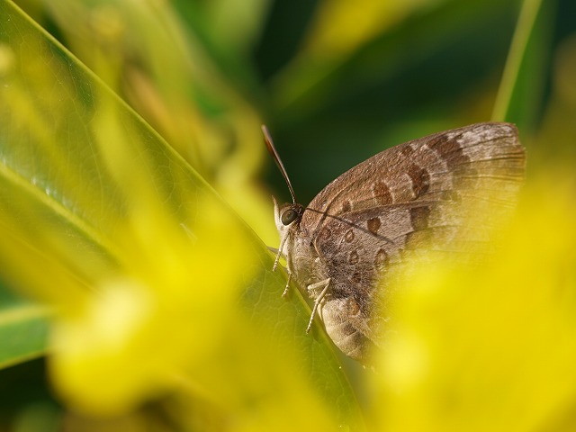 b0135573_16222211.jpg